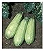 Photo David's Garden Seeds Zucchini Tender Grey 5312 (Green) 50 Non-GMO, Heirloom Seeds review