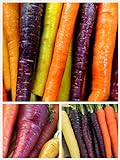 Homegrown Carrot Seeds, 1000 Seeds, Rainbow Supreme Carrot Mixture No GMO Photo, new 2024, best price $5.49 review
