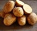 Photo Golden Yukon Nuggets Heirloom Potato Seed 3lbs Virus Free Non GMO review