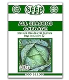 All Seasons Cabbage Seeds - 500 Seeds Non-GMO Photo, new 2024, best price  review