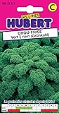 Graines de Chou Frisé 1/2 Nain - Kale - 2 grammes Photo, nouveau 2024, meilleur prix 3,55 € examen