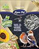 Lyra Pet® 10 kg Sonnenblumenkerne gestreift Wildvogelfutter Vogelfutter HK Deutschland Ernte 2021 Foto, neu 2024, bester Preis 21,49 € (2,15 € / kg) Rezension
