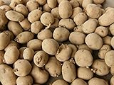 5 Lbs Yukon Gold Seed Potatoes - USA Non-GMO Certified Potato TUBERS SPUDS Photo, new 2024, best price $9.99 review
