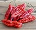 Foto Hot Chili Pfeffer Bhut Jolokia Rot - Pepper - ertragreich - über eine Million Einheiten - 10 Samen Rezension