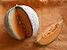 Foto Melone Charentais 5 Samen -Neue Züchtung aus Cantaloupe/Zuckermelone Sehr sehr Süß Rezension