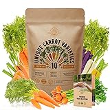 10 Carrot Seeds Variety Pack for Planting Indoor & Outdoors 3600+ Non-GMO Heirloom Carrots Garden Growing Seeds: Imperator, Parisian, Scarlet Nantes, Purple, Red, White, Cosmic Rainbow Carrots & More Photo, new 2024, best price $12.99 ($1.30 / Count) review