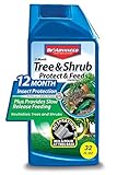 BioAdvanced 701810A Systemic Plant Fertilizer and Insecticide with Imidacloprid 12 Month Tree & Shrub Protect & Feed, 32 oz, Concentrate Photo, new 2024, best price $19.97 review