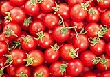 30+ Sweetie Cherry a.k.a. Sugar Sweetie Tomato Seeds, Heirloom Non-GMO, Extra Sweet, Heavy-Yielding, Indeterminate, Open-Pollinated, Delicious, from USA Photo, new 2024, best price $2.69 ($38.16 / Ounce) review