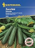 Zucchini Defender F1 Foto, neu 2024, bester Preis 3,96 € Rezension