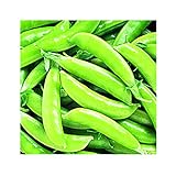 Park Seed Super Sugar Snap Pea Seeds, Delicious and High Yield, Pack of 160 Seeds Photo, new 2024, best price $8.95 ($0.06 / Count) review