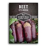 Survival Garden Seeds - Cylindra Beet Seed for Planting - Packet with Instructions to Plant and Grow Dark Red Beets in Your Home Vegetable Garden - Non-GMO Heirloom Variety Photo, new 2024, best price $4.99 review