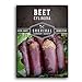 Photo Survival Garden Seeds - Cylindra Beet Seed for Planting - Packet with Instructions to Plant and Grow Dark Red Beets in Your Home Vegetable Garden - Non-GMO Heirloom Variety review