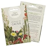 Mélange de graines de cactus: Kit graine de cactus à fleurs pour plantes de cactus en pot magnifique - Plante naturelle et décorative d'intérieur - Plant mini-cactus à faire pousser par OwnGrown Photo, nouveau 2024, meilleur prix 3,95 € (3,95 € / unité) examen