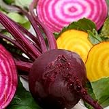 Beets - Gourmet Mix of Beet Seeds ► Non-GMO Red & Yellow Beet Seeds (100+ Seeds) ◄ by PowerGrow Systems Photo, new 2024, best price $1.99 review
