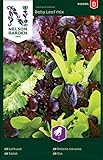Salat Samen Mix Baby Leaf - Nelson Garden Gemüse Saatgut - Pflücksalat Samen (1120 Stück) (Salat, Baby Leaf mix, Einzelpackung) Foto, neu 2024, bester Preis 3,95 € Rezension