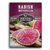 Survival Garden Seeds - Watermelon Radish Seed for Planting - Packet with Instructions to Plant and Grow Unique Asian Vegetables in Your Home Vegetable Garden - Non-GMO Heirloom Variety Photo, new 2024, best price $4.99 review