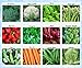 Photo Premium Winter Vegetable Seeds Collection Organic Non-GMO Heirloom Seeds 12 Varieties: Radish, Pea, Broccoli, Beet, Carrot, Cauliflower, Green Bean, Kale, Arugula, Cabbage, Asparagus, Brussel Sprout review