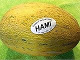 35 PCS Hami Ha Mi Melon Seeds E60, Honey Melon Super Sweet Photo, new 2024, best price $14.50 review