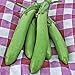 Photo Thai Long Green Eggplant Seeds (25+ Seeds) review