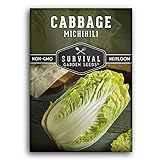 Survival Garden Seeds - Michihili Napa / Nappa Cabbage Seed for Planting - Pack with Instructions to Plant and Grow Brassica Vegetables in Your Home Vegetable Garden - Non-GMO Heirloom Variety Photo, new 2024, best price $4.99 review