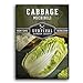 Photo Survival Garden Seeds - Michihili Napa / Nappa Cabbage Seed for Planting - Pack with Instructions to Plant and Grow Brassica Vegetables in Your Home Vegetable Garden - Non-GMO Heirloom Variety review