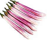 Chinese, Eggplant Seed - The Bride - 300 Heirloom Seeds - Non GMO - Neonicotinoid-Free Photo, new 2024, best price $9.99 review