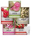 Radish Seeds for Planting 5 Individual Packets - Watermelon, French Breakfast, Champion, Cherry Belle, White Icicle for Your Non GMO Heirloom Vegetable Garden by Gardeners Basics Photo, new 2024, best price $10.95 review