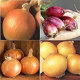 David's Garden Seeds Collection Set Onion Long-Day 9332 (Multi) 4 Varieties 800 Non-GMO, Open Pollinated Seeds Photo, new 2024, best price $16.95 ($4.24 / Count) review