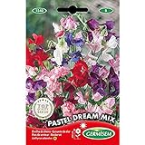 Germisem Pastel Dream Mix Semillas de Guisantes Dulces 1.5 g Foto, nuevo 2024, mejor precio 2,70 € revisión