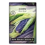 Sow Right Seeds - Blue Hopi Corn Seed for Planting - Non-GMO Heirloom Packet with Instructions to Plant and Grow an Outdoor Home Vegetable Garden - Great for Blue Corn Flour - Wonderful Gardening Gift Photo, new 2024, best price $4.99 review