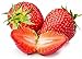 Photo Strawberry Seeds for Planting in Your Indoor or Outdoor Garden: Non-GMO,Non-Hybrid,Heirloom and Organic (100PCS) review