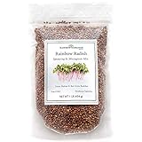 Rainbow Radish Sprouting Seeds Mix | Heirloom Non-GMO Seeds for Sprouting & Microgreens | Contains Red Arrow, Purple Triton & White Daikon Radish Seeds 1 lb Resealable Bag | Rainbow Heirloom Seed Co. Photo, new 2024, best price $17.99 review