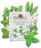 Burpee Culinary Classics Garden Collection 10 Packets of Non-GMO Chives, Cilantro, Basil, Sage, Thyme, Dill, Parsley, Chamomile, Marjoram & Oregano | Kitchen Herb Variety Pack, Seeds for Planting Photo, new 2024, best price $26.57 review