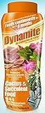  Dynamite 82170 Sun Bulb Cactus & Succulent Food, White Photo, new 2024, best price $15.86 review