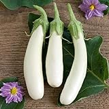 David's Garden Seeds Eggplant Casper 3411 (White) 50 Non-GMO, Open Pollinated Seeds Photo, new 2024, best price $4.45 review