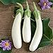 Photo David's Garden Seeds Eggplant Casper 3411 (White) 50 Non-GMO, Open Pollinated Seeds review