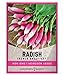 Photo Radish Seeds for Planting - French Breakfast Variety Heirloom, Non-GMO Vegetable Seed - 2 Grams of Seeds Great for Outdoor Spring, Winter and Fall Gardening by Gardeners Basics review