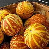 20 Rare Tigger Melon Seeds | Exotic Garden Fruit Seeds to Plant | Sweet Exotic Melons, Grow and Eat Photo, new 2024, best price $8.98 ($0.45 / Count) review