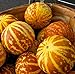 Photo 20 Rare Tigger Melon Seeds | Exotic Garden Fruit Seeds to Plant | Sweet Exotic Melons, Grow and Eat review