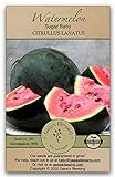 Gaea's Blessing Seeds - Sugar Baby Watermelon Seeds (3.0g) Non-GMO Seeds with Easy to Follow Planting Instructions - Heirloom 94% Germination Rate Photo, new 2024, best price $4.99 review