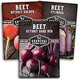 Survival Garden Seeds Beet Collection Seed Vault - Detroit Red, Detroit Golden, Cylindra Beets - Delicious Root & Green Leafy Veggies - Non-GMO Heirloom Survival Garden Vegetable Seeds for Planting Photo, new 2024, best price $8.99 review