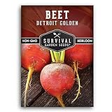 Survival Garden Seeds - Detroit Golden Beet Seed for Planting - Packet with Instructions to Plant and Grow Sweet Yellow Root Vegetables in Your Home Vegetable Garden - Non-GMO Heirloom Variety Photo, new 2024, best price $4.99 review