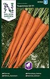Möhren Samen Sugarsnax 54 F1 - Nelson Garden Gemüse Saatgut - Karotten Samen (300 Stück) (Möhre, Sommer-, Sugarsnax 54 F1, Einzelpackung) Foto, neu 2024, bester Preis 3,45 € Rezension