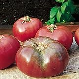 Burpee 'Cherokee Purple' Heirloom | Large Slicing Tomato | Rich Flavor Photo, new 2024, best price $7.30 review