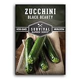 Survival Garden Seeds - Black Beauty Zucchini Seed for Planting - Pack with Instructions to Plant and Grow Dark Green Zucchini in Your Home Vegetable Garden - Non-GMO Heirloom Variety - 1 Pack Photo, new 2024, best price $4.99 review