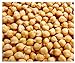 Photo Garbanzo Bean Seeds - Chickpea Seeds - 30+ Seeds review