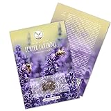 300x Lavendel Samen mit hoher Keimrate - Vielseitig einsetzbare Heilpflanze & ideal für Bienen und Schmetterlinge (inkl. GRATIS eBook) Foto, neu 2024, bester Preis 4,90 € Rezension