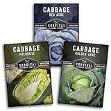 Cabbage Collection Seed Vault - Non-GMO Heirloom Survival Garden Seeds for Planting - Red Acre, Golden Acres, and Michihili (Napa) Cabbage Seed Packets to Grow Your Own Healthy Cruciferous Vegetables Photo, new 2024, best price $8.99 review