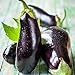 Photo David's Garden Seeds Eggplant Black Beauty 2477 (Black) 50 Non-GMO, Heirloom Seeds review