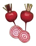 Burpee Chioggia Beet Seeds 200 seeds Photo, new 2024, best price $5.65 ($0.03 / Count) review